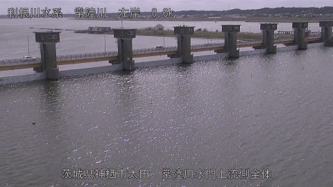 hitamn2026031312_image