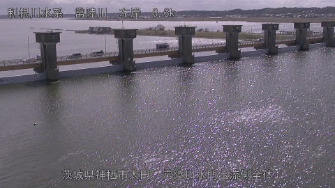 hitamn2026031412_image