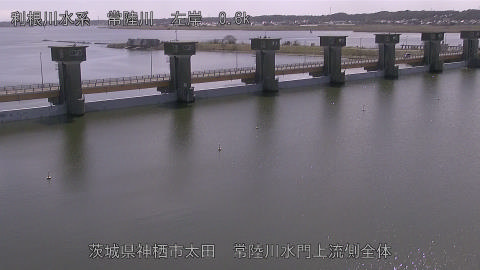 hitamn2026031512_image