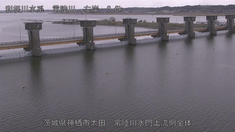 hitamn2026031612_image