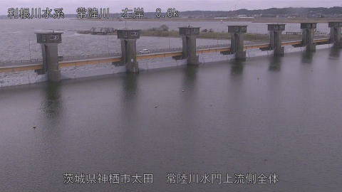 hitamn2026031816_image