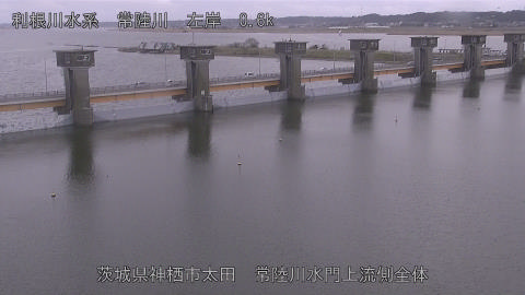 hitamn2026031817_image