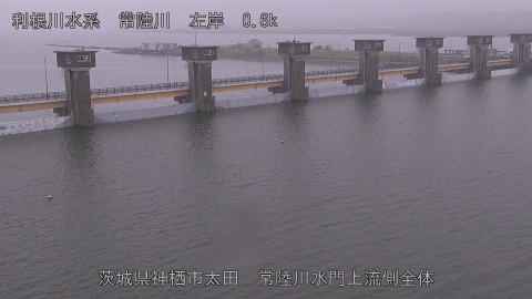 hitamn2026031910_image