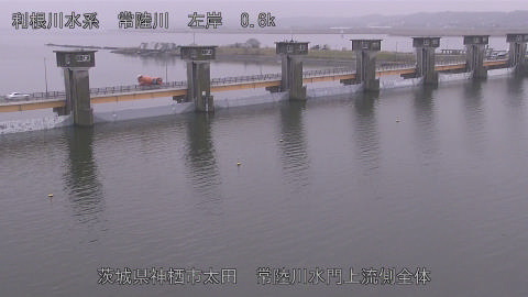 hitamn2026031911_image