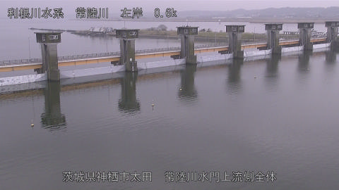 hitamn2026031912_image