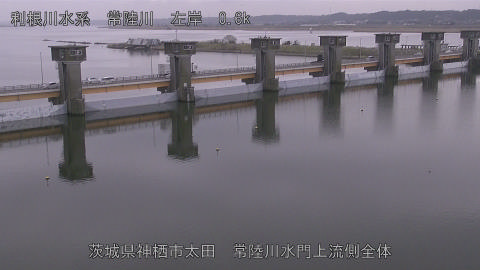 hitamn2026031914_image