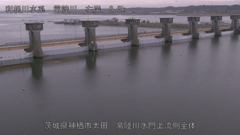 hitamn2026031915_image