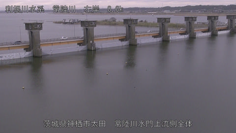 hitamn2026031916_image