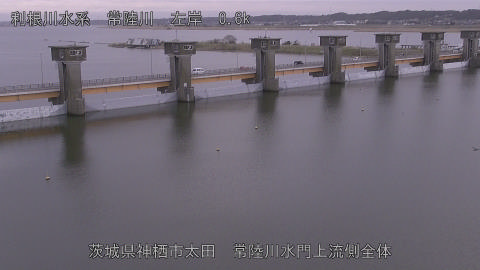 hitamn2026031917_image