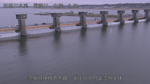 hitamn2026031918_image