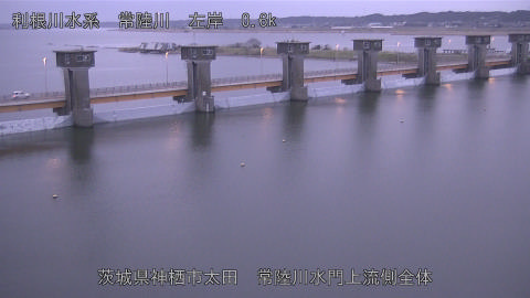 hitamn2026032006_image