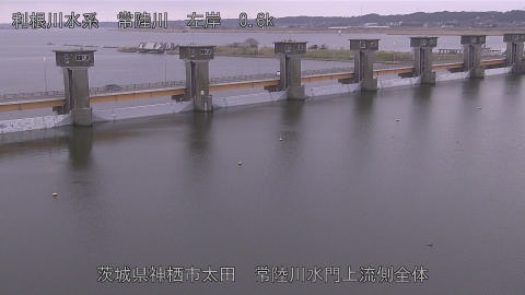 hitamn2026032007_image