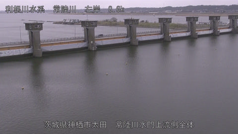 hitamn2026032008_image