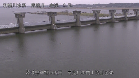 hitamn2026032009_image