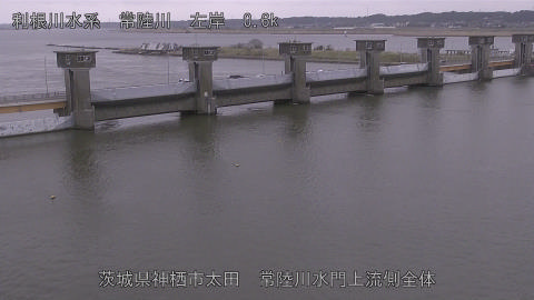 hitamn2026032011_image