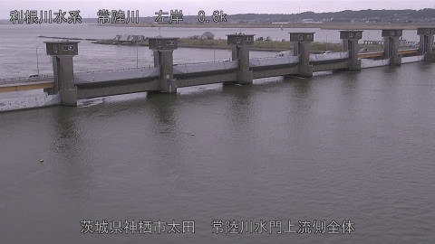 hitamn2026032012_image