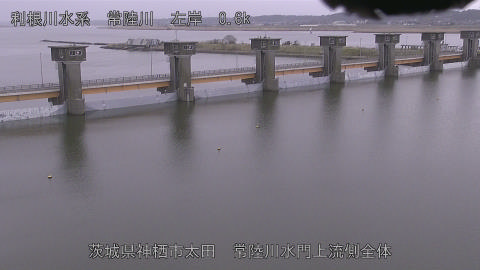 hitamn2026032013_image