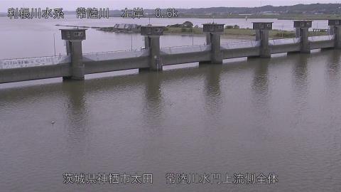 hitamn2026061312_image