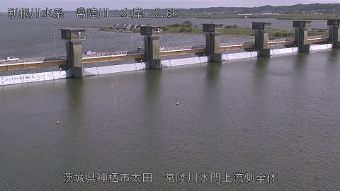 hitamn2026061715_image