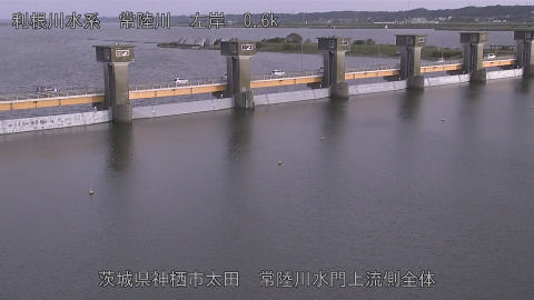 hitamn2026061718_image