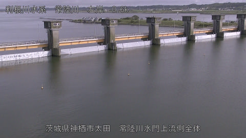 hitamn2026061816_image