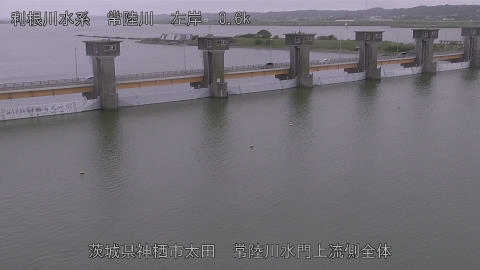 hitamn2026080215_image