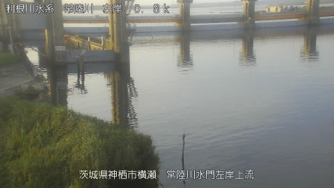 hitasa2025082306_image