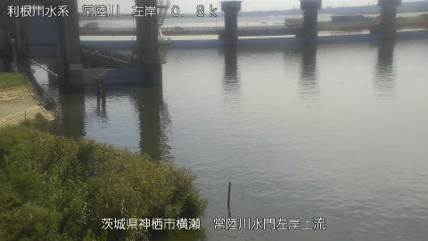 hitasa2025100212_image