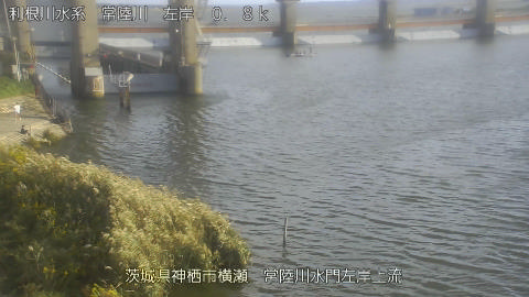 hitasa2025101815_image