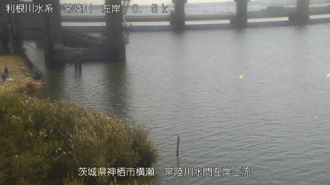 hitasa2025110712_image