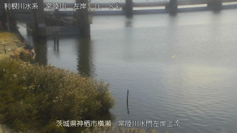 hitasa2025111512_image