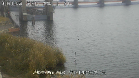 hitasa2025112512_image