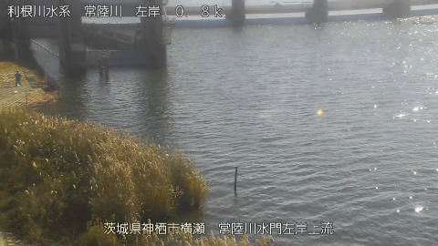 hitasa2025112812_image