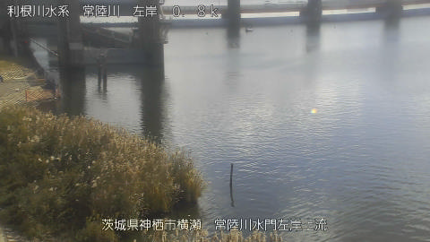 hitasa2025113012_image