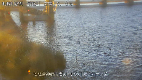 hitasa2025120407_image