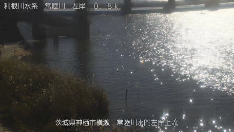 hitasa2025120511_image