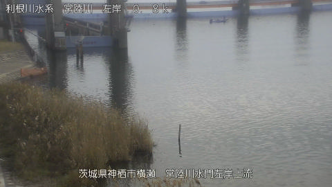 hitasa2026010512_image