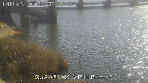 hitasa2026010812_image