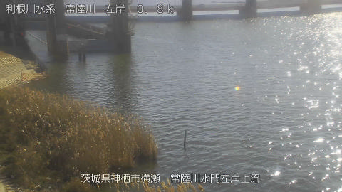 hitasa2026010912_image