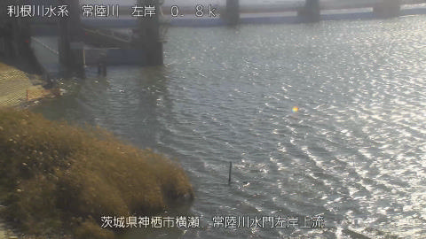 hitasa2026011012_image