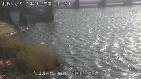 hitasa2026011312_image