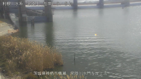 hitasa2026011812_image