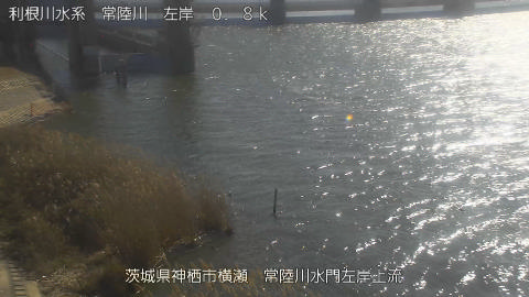 hitasa2026013112_image