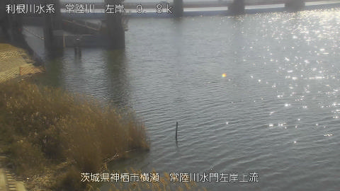 hitasa2026020112_image