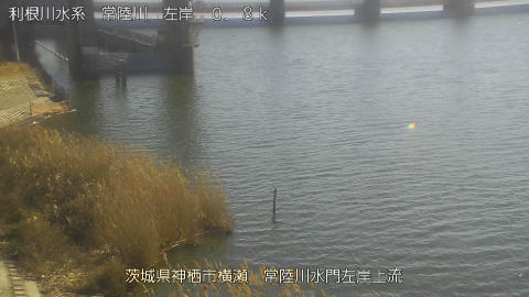 hitasa2026020113_image