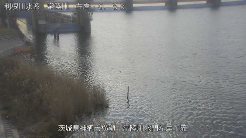 hitasa2026020208_image