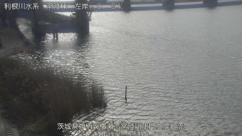 hitasa2026020210_image