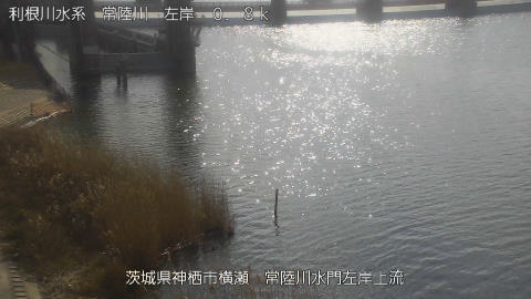 hitasa2026020211_image