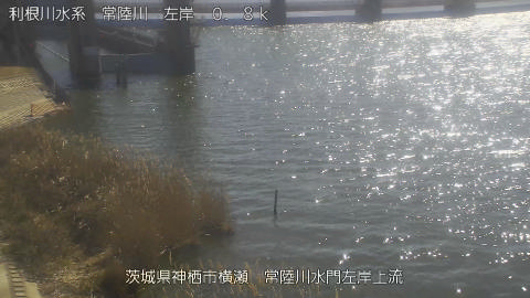 hitasa2026021912_image