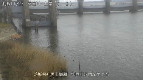 hitasa2026030612_image